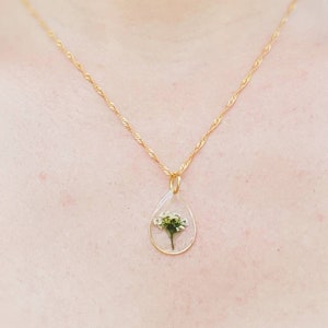May include: A gold chain necklace with a teardrop-shaped pendant containing a pressed white flower.