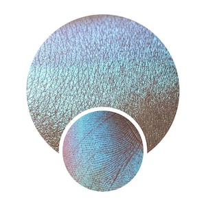 Folklore Collection Iridescent Duochromes Nymph shimmery green blue dupe vegan shimmery sparkle pressed pan 26mm dupe magical color shift
