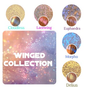 Winged Collection Iridescent Multichromes  Bundle of 5 shades vegan sparkle pressed pan 26mm color shift rainbow flakes sparkles chameleon