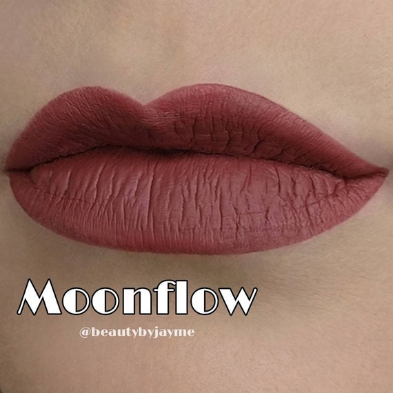 Liquid Lipstick Waterproof Matte Nude Lip Gloss Pigment Dark Red