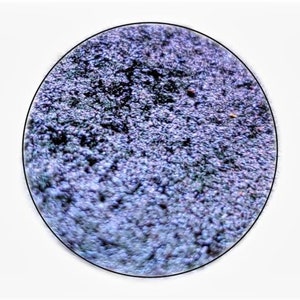 HELIX Multichrome chameleon 26mm pressed pan darkened cobalt blue to darkened purple color shift dupe metallic sparkle shimmer image 6