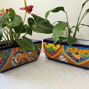 Talavera Pot