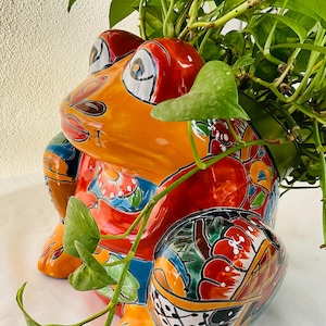 Könnte beinhalten: Ein farbenfroher Keramik-Frosch-Pflanztopf mit einem leuchtend orangefarbenen, roten und blauen Design. Der Topf ist mit einer grünen, belaubten Pflanze gefüllt.