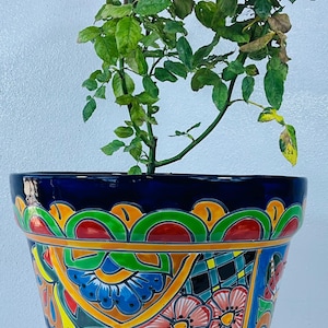 Op de afbeelding: Een keramische plantenbak met een levendig, handgeschilderd patroon met florale en geometrische motieven in tinten blauw, rood, groen en geel. Een kleine rozenplant met groene bladeren en een enkele lichtroze bloem groeit erin.