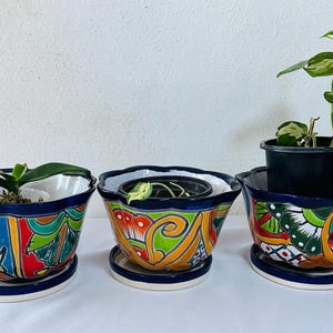 Puede incluir: Tres macetas de cerámica pintadas a mano, con platillos a juego. Las macetas tienen un borde festoneado y están decoradas con patrones vibrantes en azul, rojo, verde y naranja. Cada maceta contiene una planta diferente, incluyendo un potos.