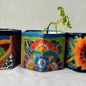 Talavera flower pots