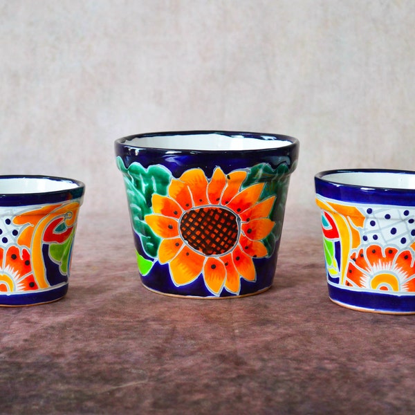 Pots de fleurs Talavera