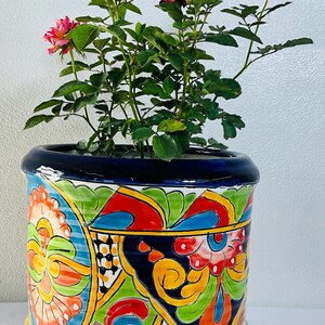 May include: A rose plant with green leaves and several small pink and yellow flowers planted in a cylindrical ceramic pot. The pot features a glossy dark blue rim and a vibrant, multi-colored hand-painted pattern with orange, green, and blue.