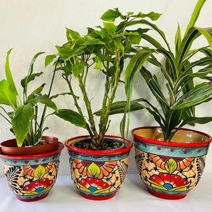 3- Macetas de Talavera pequeñas