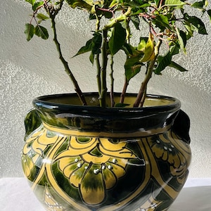 Könnte beinhalten: Ein dekorativer Keramik-Blumentopf mit einem grünen und gelben Blumenmuster. Der Topf hat einen dunkelgrünen Rand und Griffe. Im Inneren des Topfes wachsen grüne, belaubte Pflanzen. Der Topf steht auf einer weißen Oberfläche.