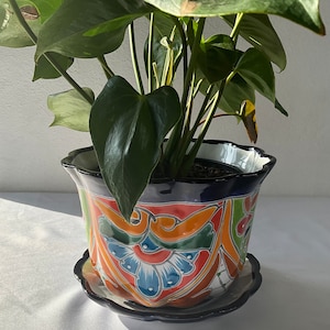 Peut inclure: Une plante verte feuillue dans un pot en céramique peint à la main avec une soucoupe assortie. Le pot présente un motif floral bleu, vert, orange et rouge.