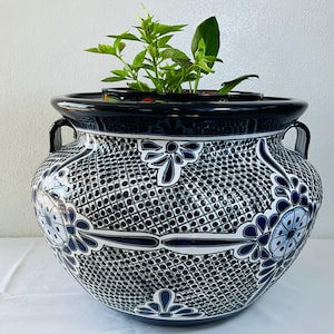 Puede incluir: Gran maceta redonda de cerámica azul y blanca con un patrón de celosía y diseños florales. La maceta tiene un borde negro ancho y dos asas. Hay plantas verdes creciendo dentro de la maceta.