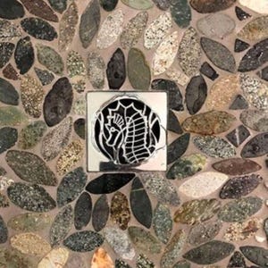 Seahorse Ebbe Drain Cover Replacement | 3.75" Square Stainless Steel Shower Drain | Nautical Decorative Grate