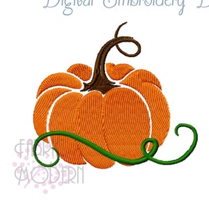 May include: An orange pumpkin with a green stem and vine. The pumpkin is a digital embroidery design.