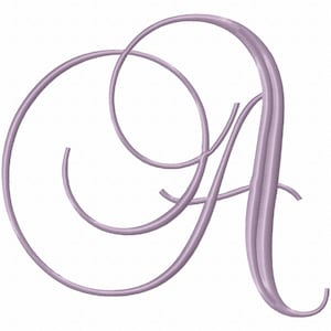 Fancy Script Monogram Embroidery Font (6 inch) - BX Included