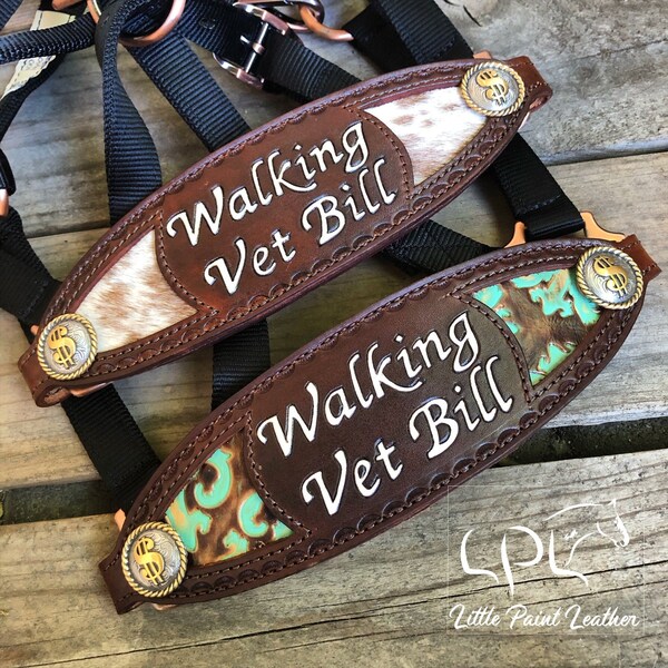 Funny Horse Tack Etsy