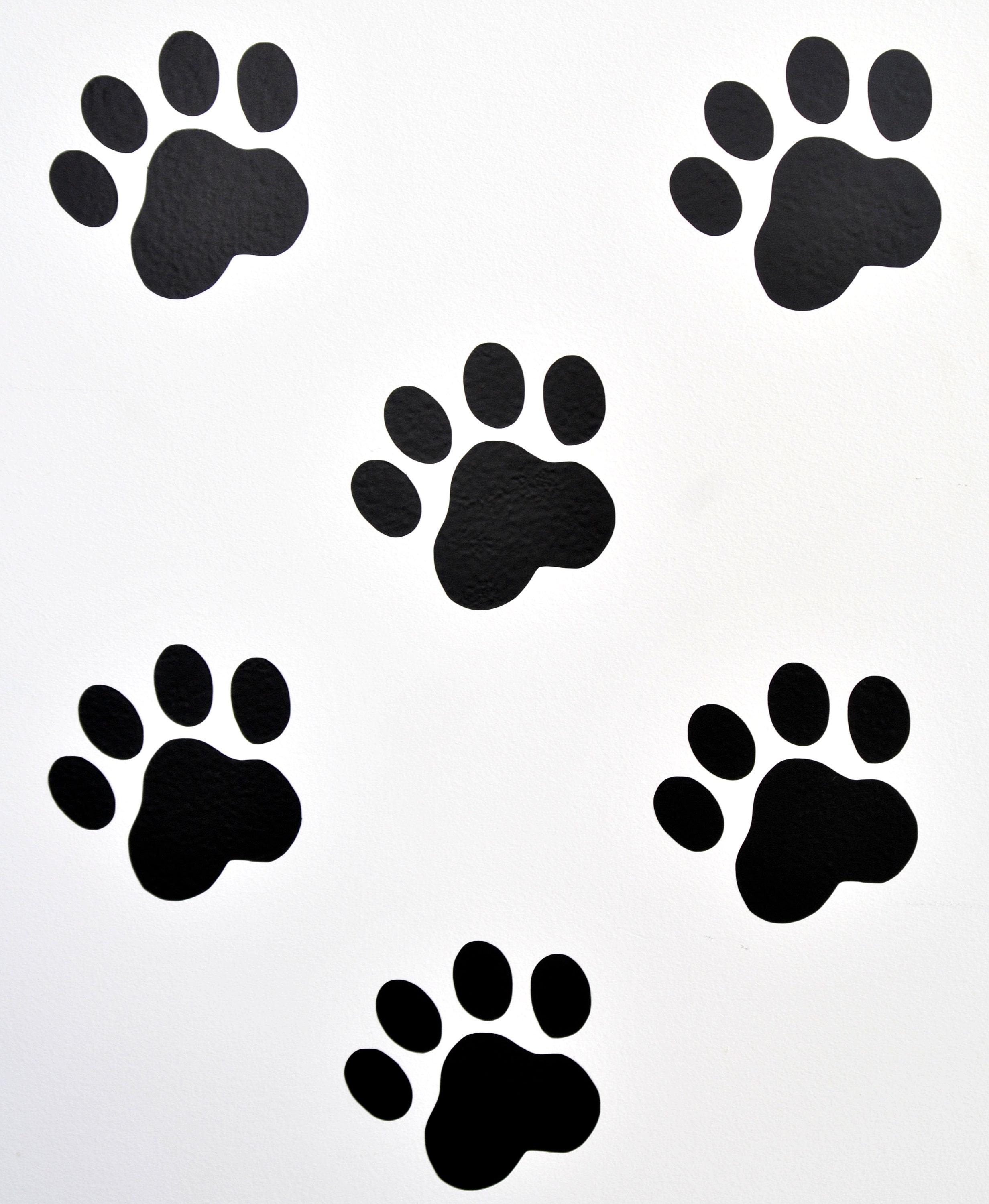 Paw Print Wall Art Decals/stickers Various Colours & Sizes Etsy