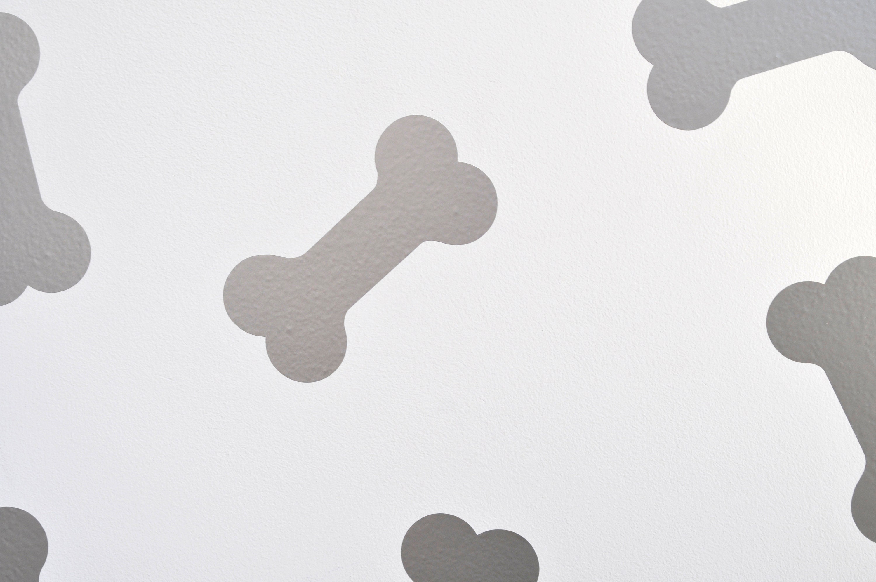 Bones / Dog Bone Wall Art Decals/stickers Various Colours & Etsy UK