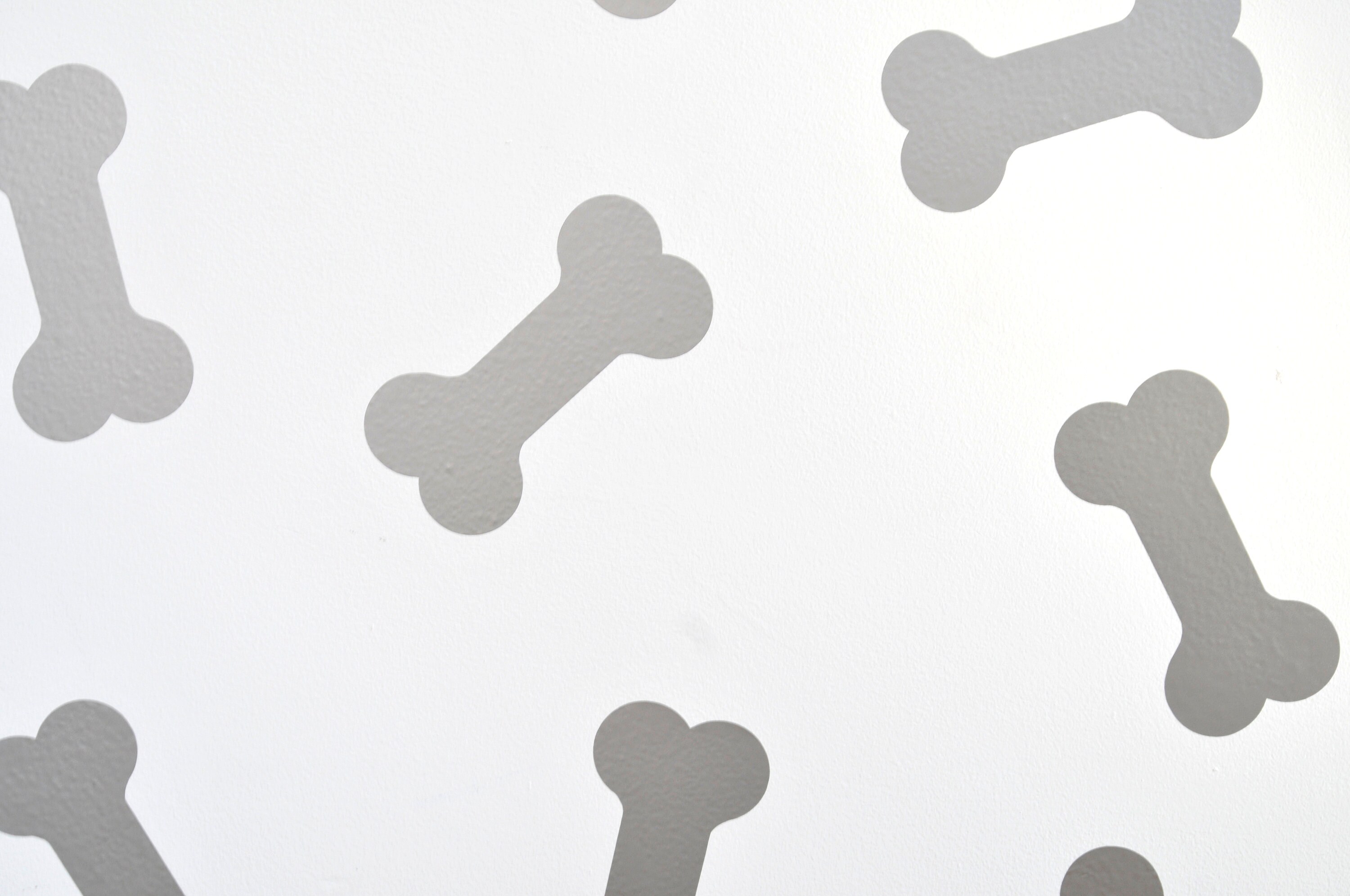 Bones / Dog Bone Wall Art Decals/stickers Various Colours & Etsy UK