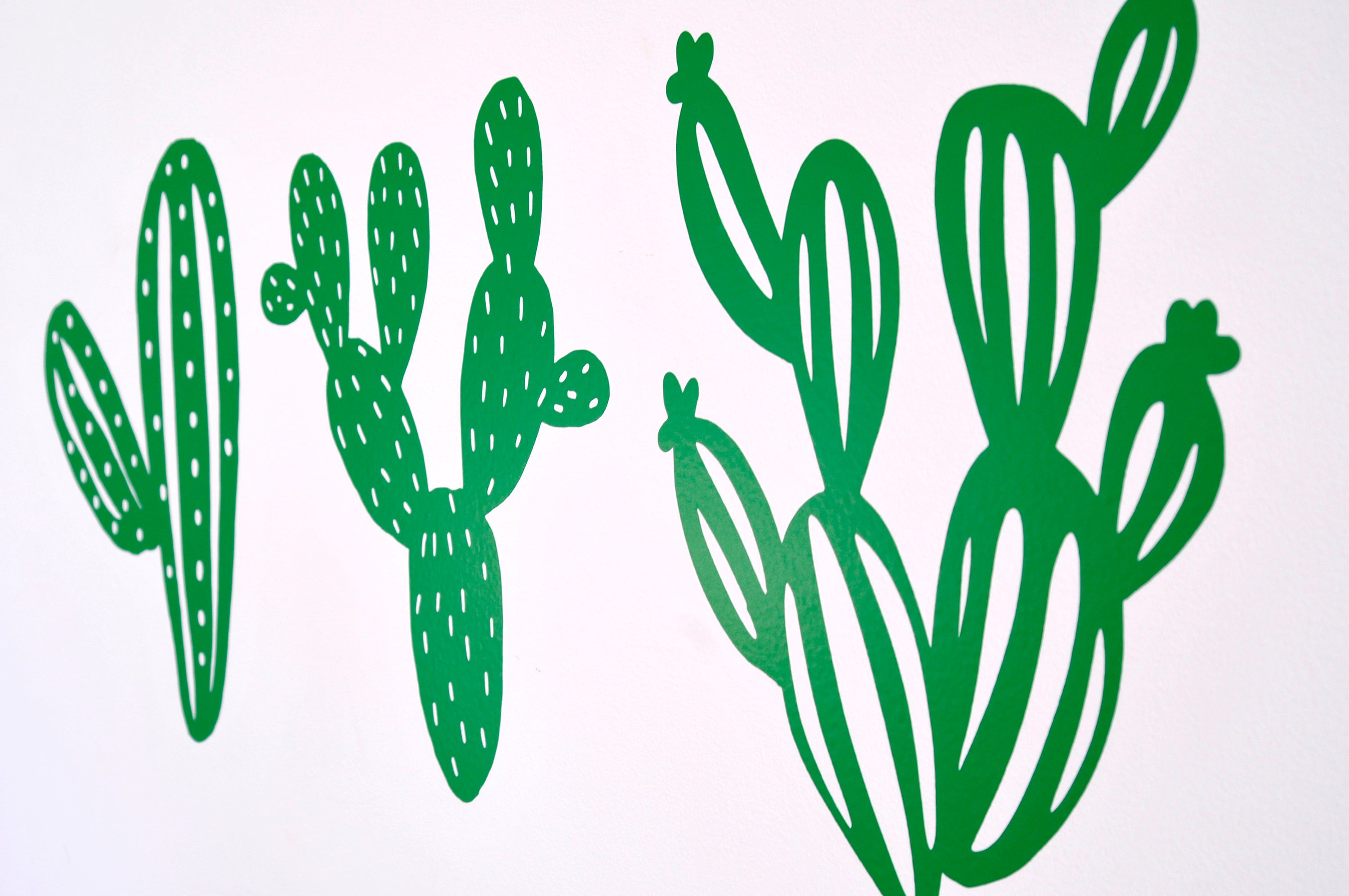 Large Mixed Cactus Vinyl Wall Art Decals/Stickers Various Etsy