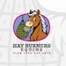 Proprietario di <a href='https://www.etsy.com/it/shop/HayBurnersEquineLLC?ref=l2-about-shopname&from_page=listing' class='wt-text-link'>HayBurnersEquineLLC</a>