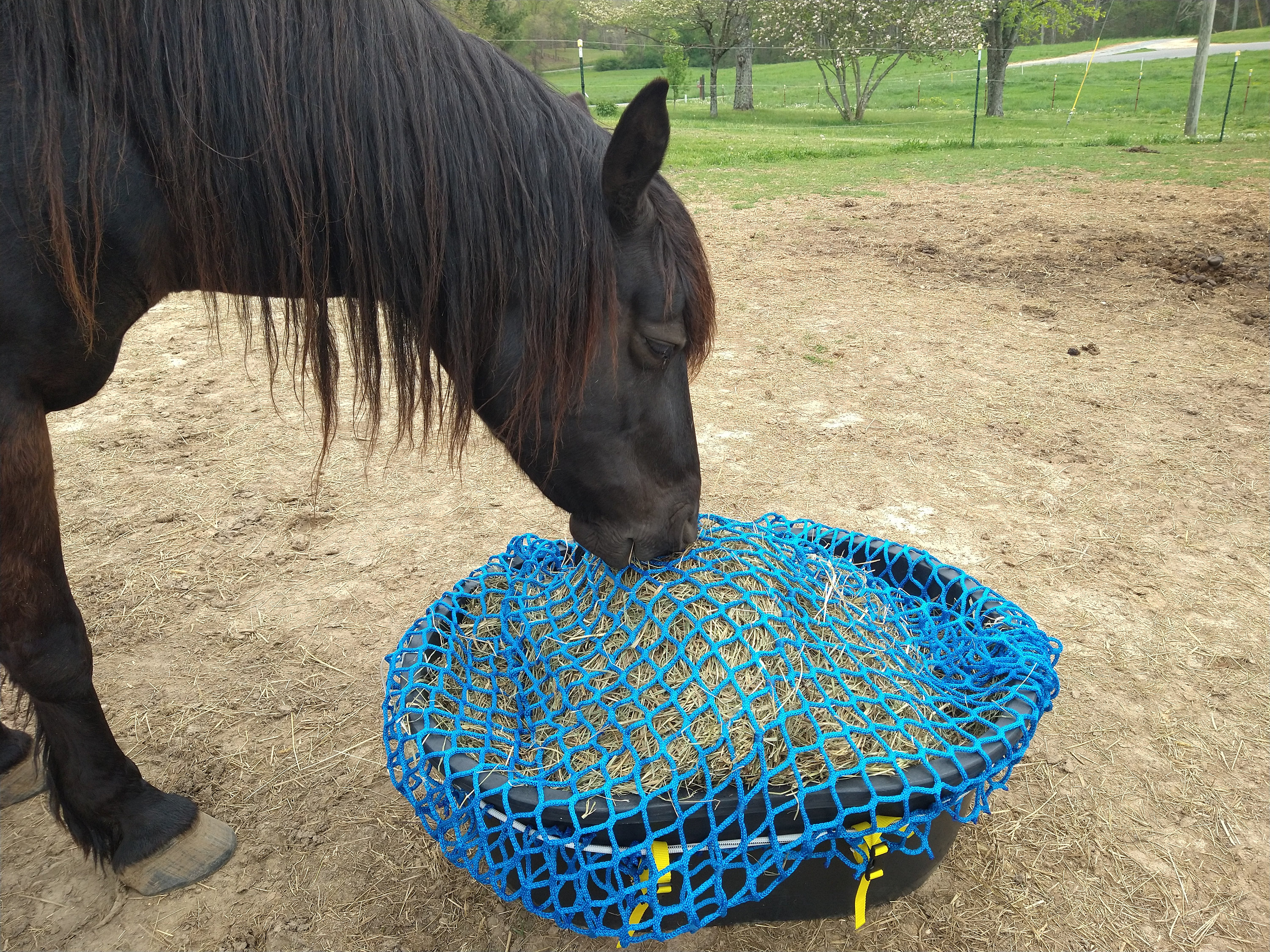 Horse hay net cheap