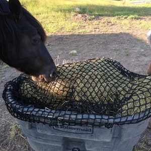 Pu&ograve; includere: Un cavallo nero mangia fieno da un sacco di fieno in rete nera in un contenitore grigio Rubbermaid.