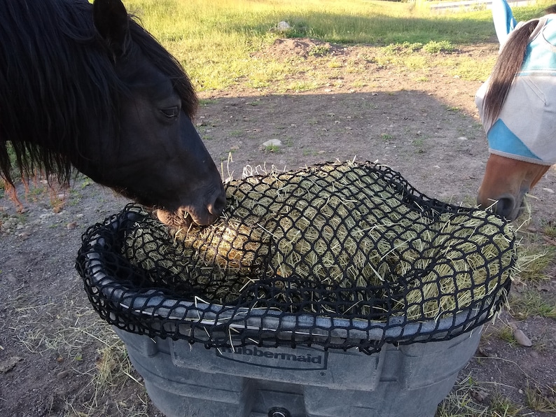 Pu&ograve; includere: Un cavallo nero mangia fieno da un sacco di fieno in rete nera in un contenitore grigio Rubbermaid.