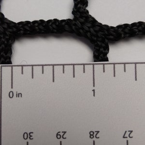 Pu&ograve; includere: Primo piano di una rete nera con un righello che mostra che la dimensione della maglia &egrave; di 1 pollice (2,54 cm).