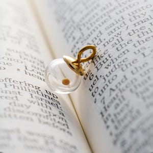 Könnte beinhalten: Ein goldener Anhänger mit einer durchsichtigen Glaskugel, die ein kleines Saatgut enthält. Der Anhänger liegt auf einem geöffneten Buch mit Text.