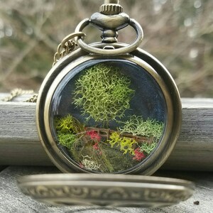 23rd Psalm Pocket Watch Terrarium Necklace by Boomdyada. He makes me lie down in green pastures. Hand crafted miniature landscape diorama. image 3