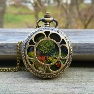 A miniature terrarium in a bronze pocket watch casing. This pocket watch opens and closes with a button at the top of the casing to give both partial and full view of the terrarium inside.