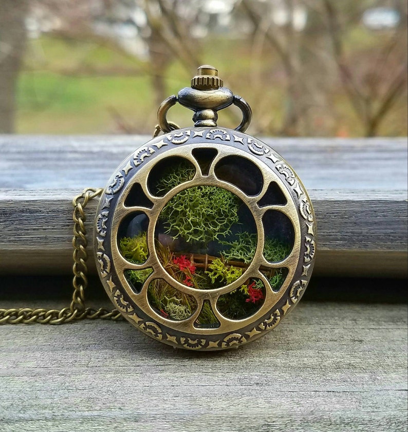 A miniature terrarium in a bronze pocket watch casing. This pocket watch opens and closes with a button at the top of the casing to give both partial and full view of the terrarium inside.