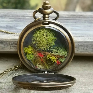 23rd Psalm Pocket Watch Terrarium Necklace by Boomdyada. He makes me lie down in green pastures. Hand crafted miniature landscape diorama. image 5