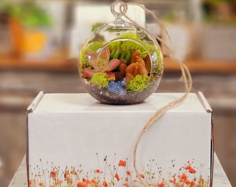 Könnte beinhalten: Ein gläsernes Globus-Terrarium mit verschiedenen Sukkulenten und Moos. Das Terrarium hängt an einer Schnur aus Jute und steht auf einer weißen Box mit einem Blumenmuster.