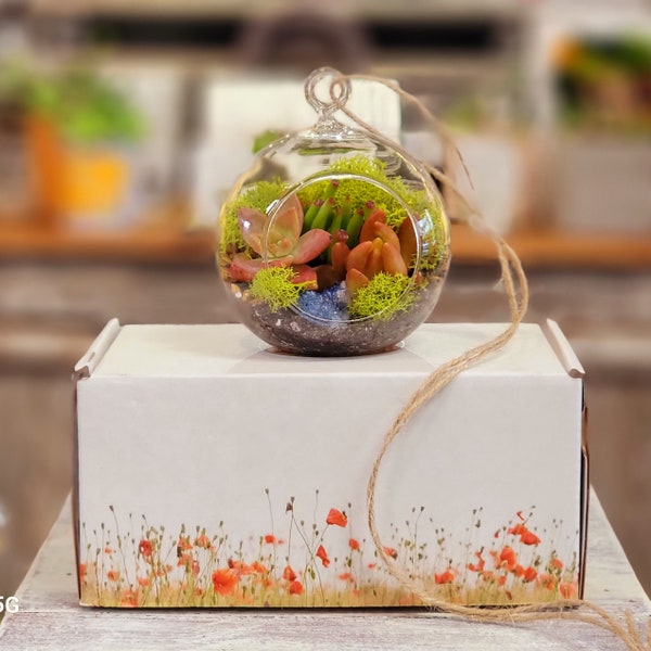 DIY terrarium kit with crystal geode, 3.5" Glass globe hanging terrarium with live plants, Unique Birthday gift,Easter,Mother's Day gift box