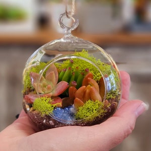 DIY Terrarium Kit with crystal geode Live Succulent Plant image 3