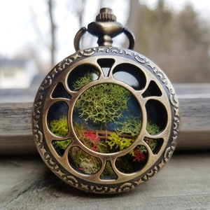 moss and twig landscape diorama in a pocketwatch.