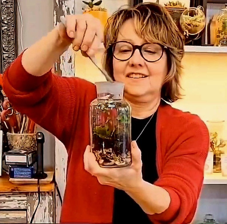 DIY Terrarium Kit with plants by Boomdyada, Self sustaining sealed Mini Ecosystem for homeschooling, team building or unique nature gift box image 7