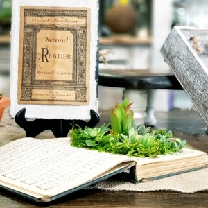 May include: An antique book with a green succulent plant arrangement on top. The book is open and the pages are visible. The book cover is brown and has the text "Second Reader Revised Edition" on the front. The book is sitting on a wooden surface.