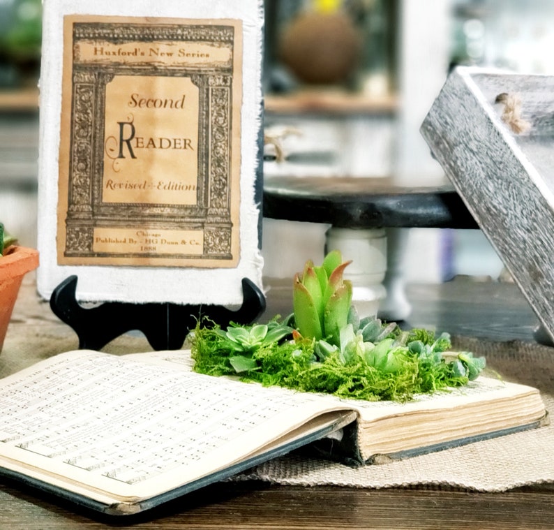 May include: An antique book with a green succulent plant arrangement on top. The book is open and the pages are visible. The book cover is brown and has the text "Second Reader Revised Edition" on the front. The book is sitting on a wooden surface.