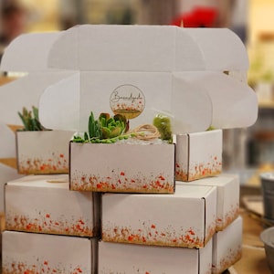 May include: A stack of white boxes with a poppy flower pattern. The top box has a logo that says "Boomdydah" and contains a small succulent plant.