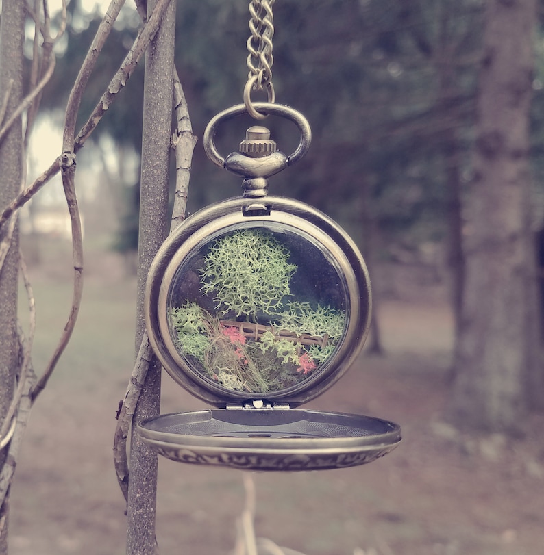 23rd Psalm Pocket Watch Terrarium Necklace by Boomdyada. He makes me lie down in green pastures. Hand crafted miniature landscape diorama. image 10