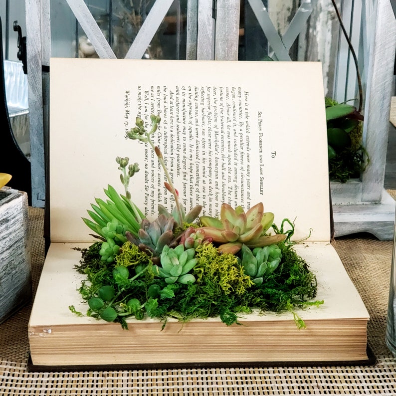 May include: An open book with a green succulent arrangement inside. The book is titled "To Sia Percy Florence and Lady Shelley".