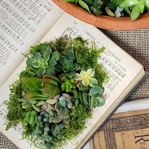 May include: A vintage book with music sheet pages is used as a planter for a variety of succulents and moss. The book is open and the pages are visible. The text on the page reads "Chiefest of Ten Thousand".