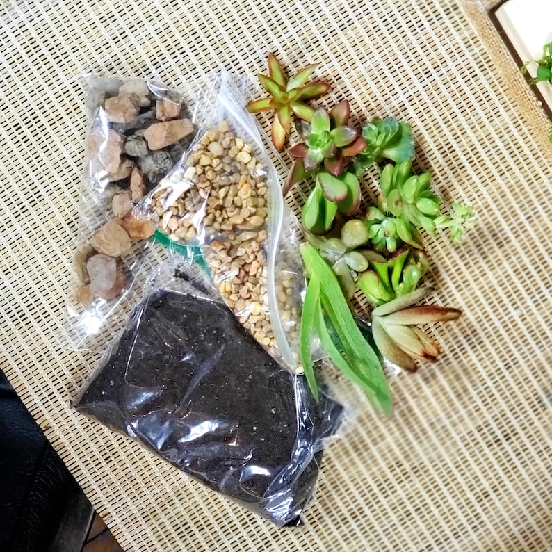 May include: A clear plastic bag filled with brown and tan gravel, a clear plastic bag filled with small brown and tan pebbles, and a clear plastic bag filled with dark brown soil. There are also several small green and brown succulents in the image.