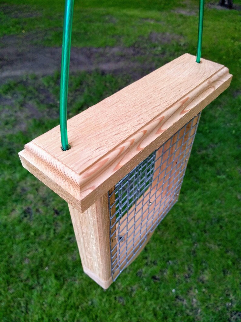 Cedar Suet Bird Feeder Suet Feeder Etsy