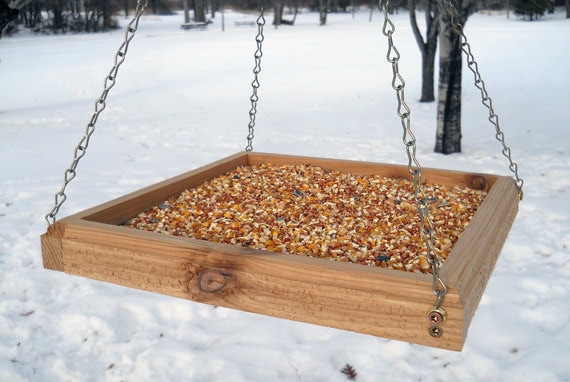 bird table tray
