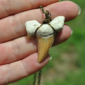 Shark tooth necklace; wire wrapped shark tooth; sea life necklace; handmade necklace; ocean theme pendant; shark lover gift; surfer gift