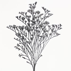 Caspia flower silhouette block print - neutral botanical wall art - cottagecore decor